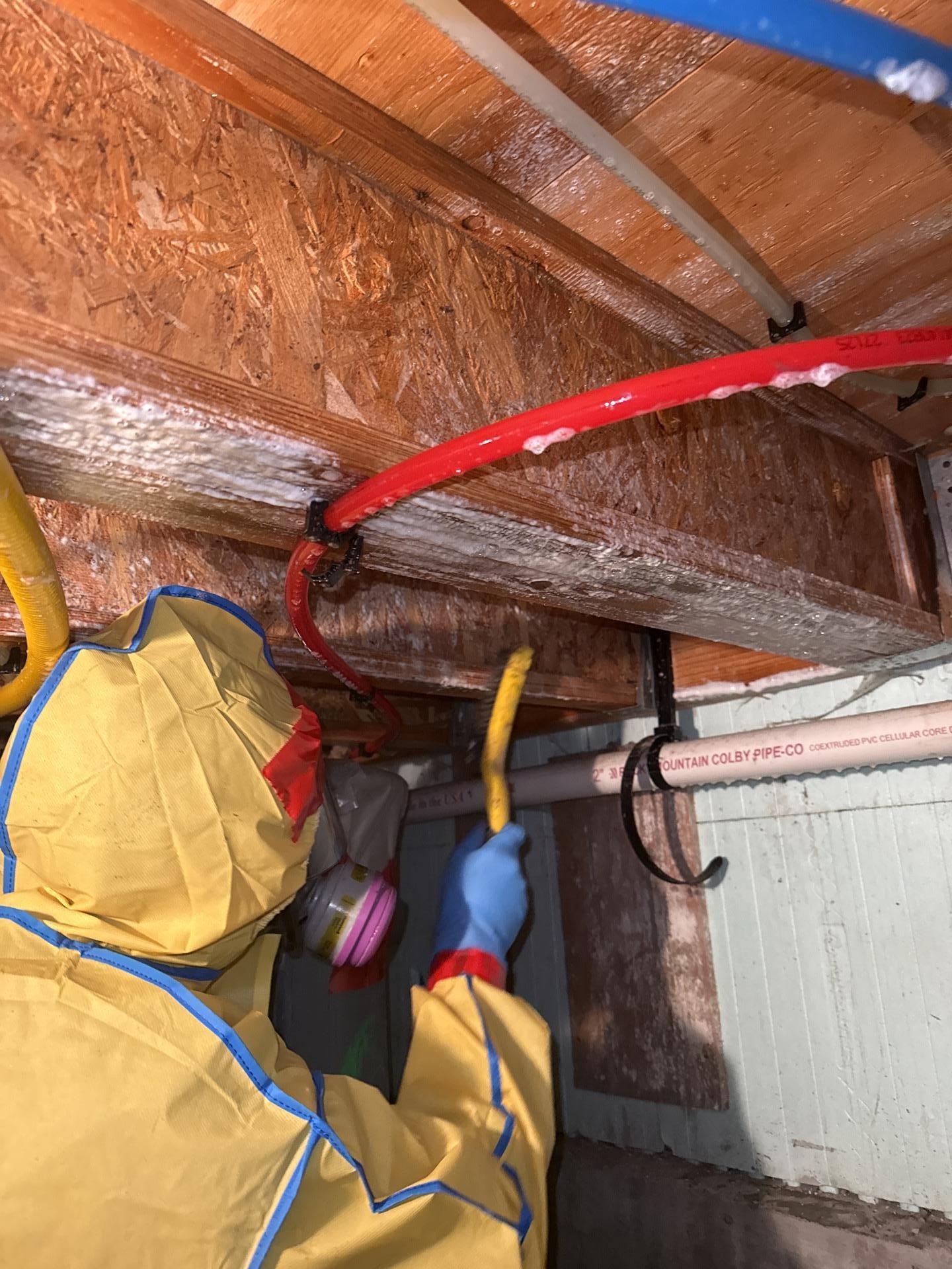 Crawlspace surfaces treated and stabilized during the restoration process