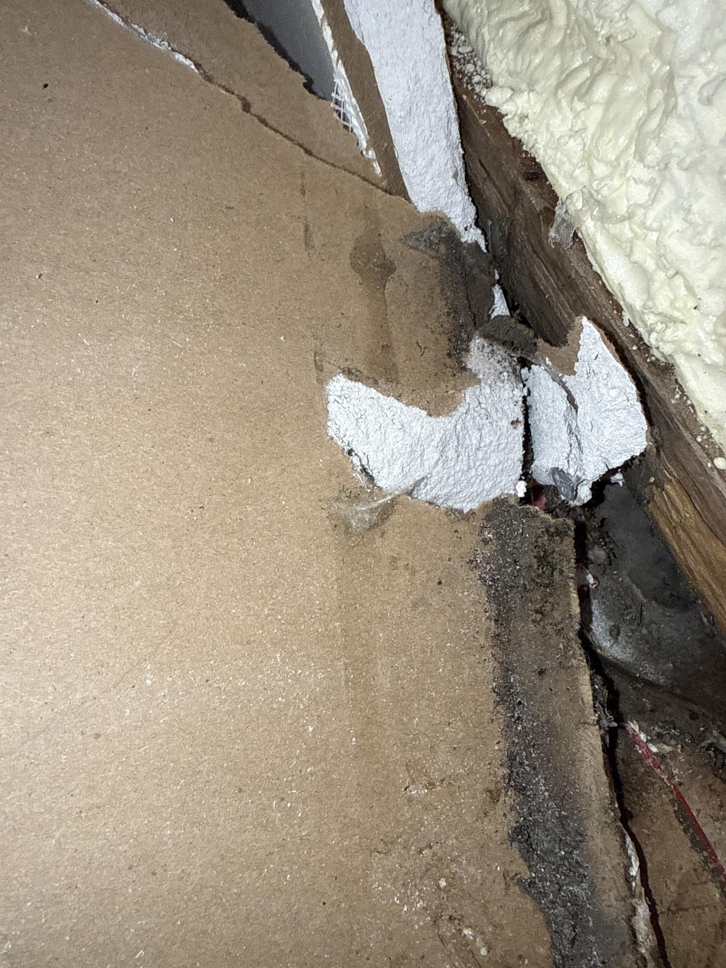Exposed loft framing being HEPA vacuumed and treated with antimicrobial solution