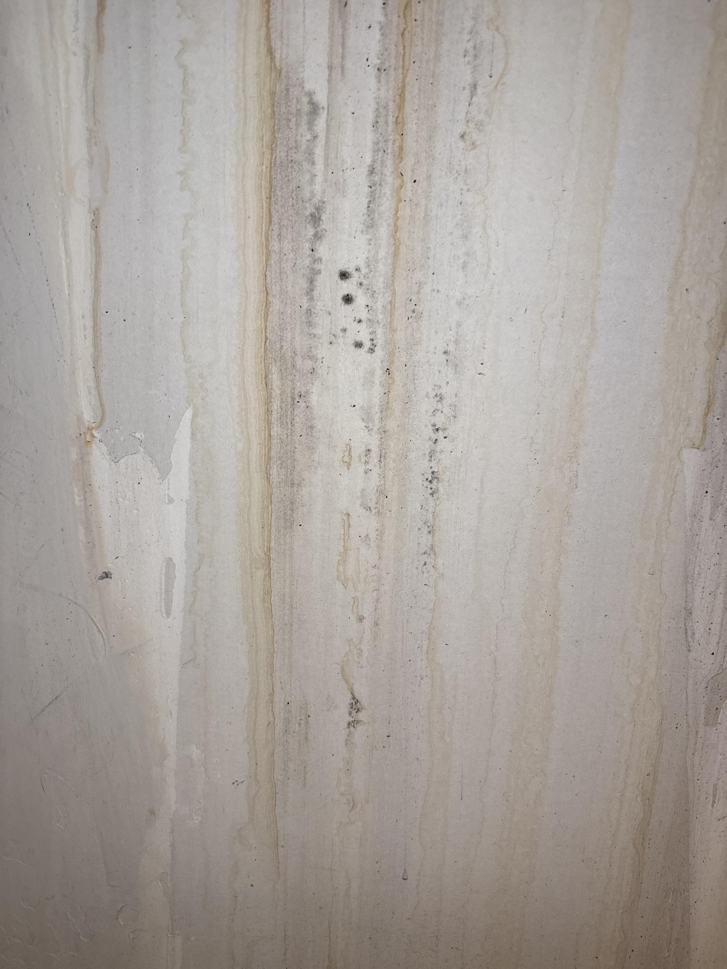 Selective drywall removal around a chimney during loft mold remediation