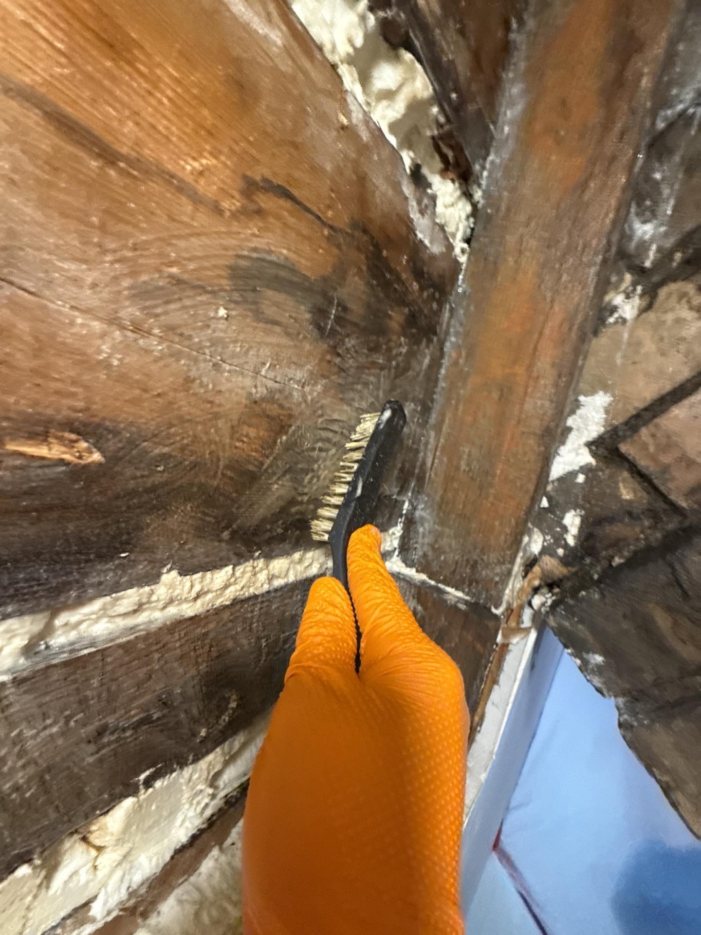 Loft wall assembly cleaned and stabilized after mold remediation