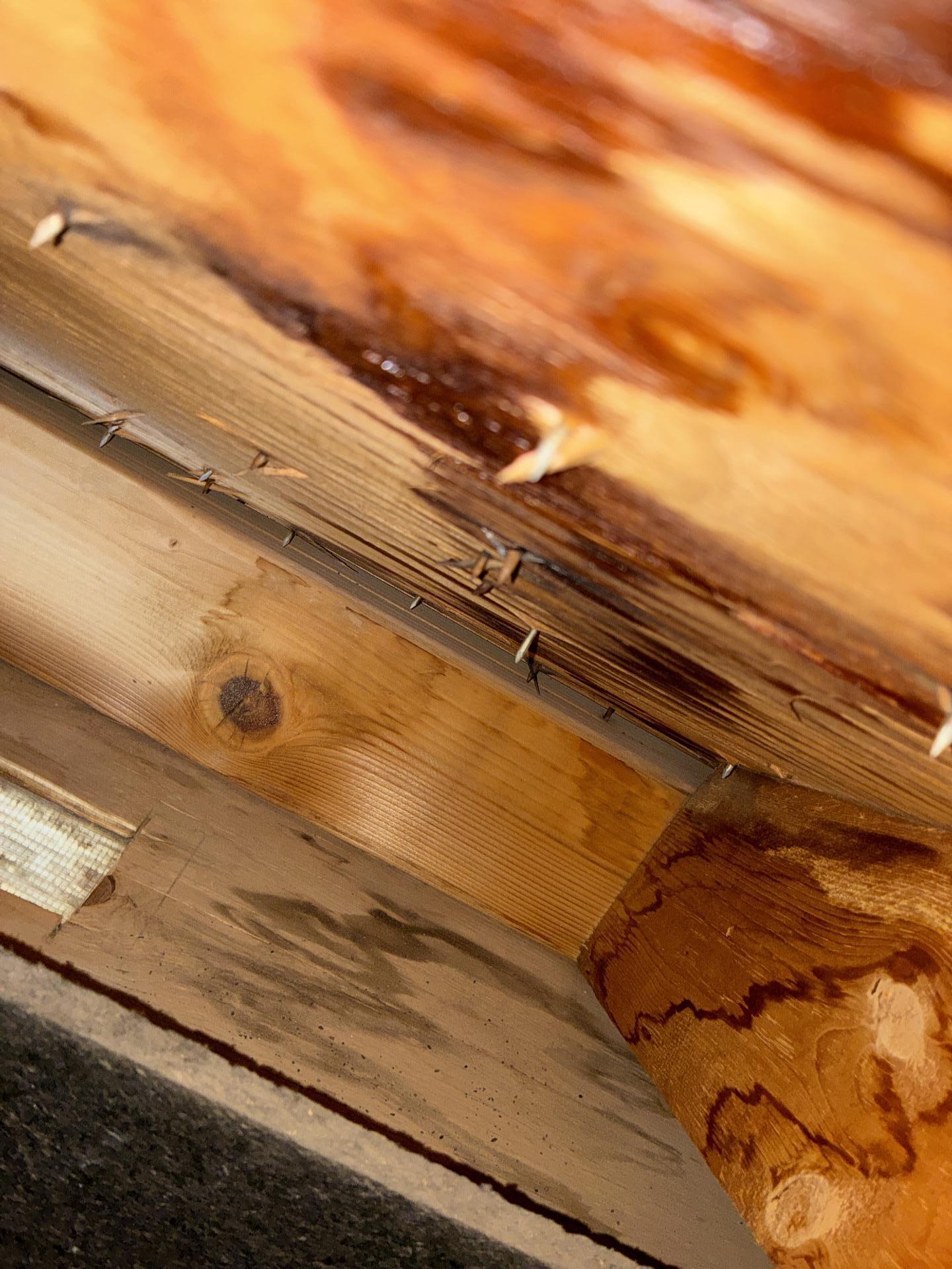 Attic roof decking showing water staining and microbial growth near a swamp cooler line