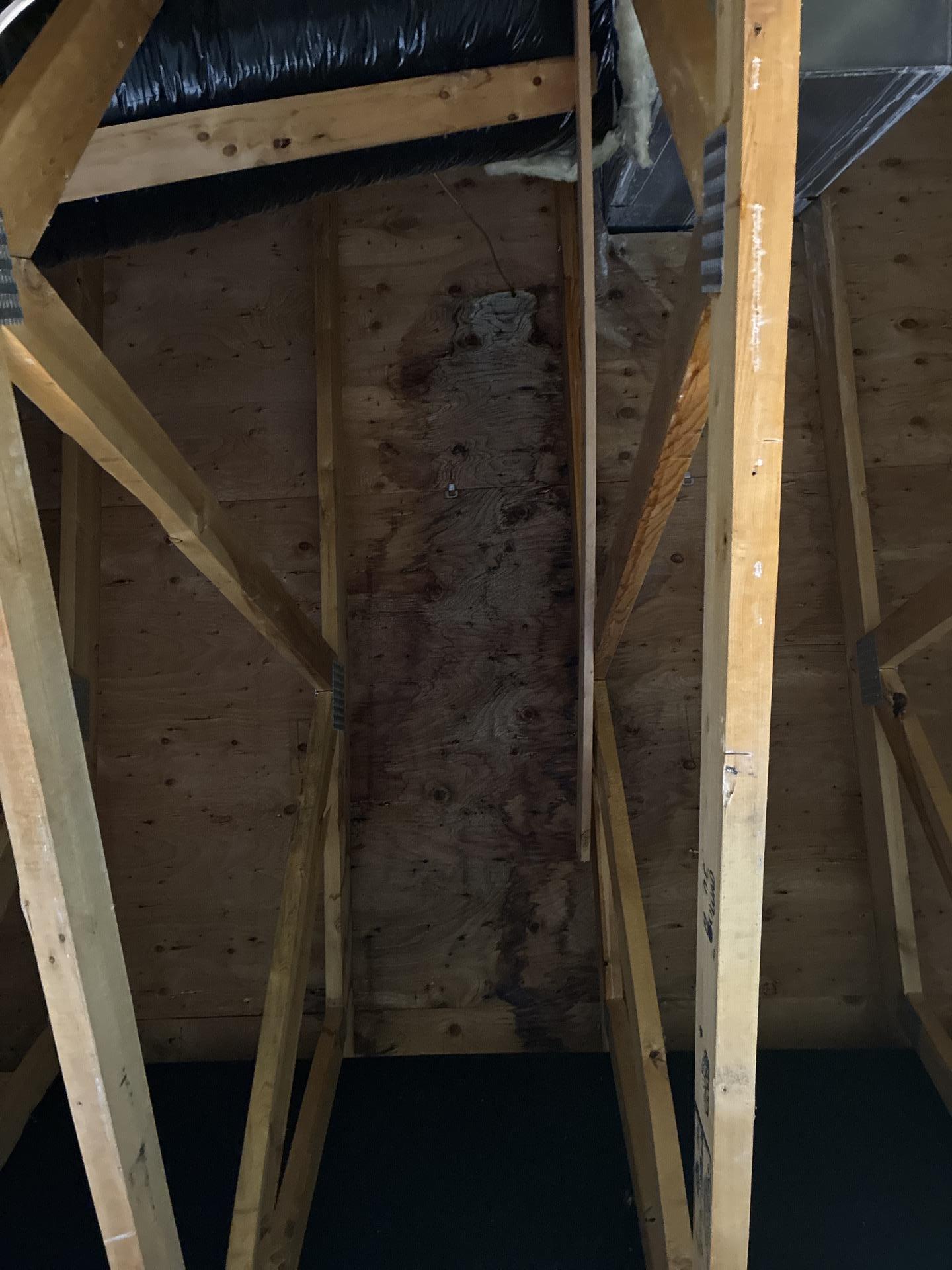 Suspect microbial growth on the topside of attic drywall above a living room ceiling