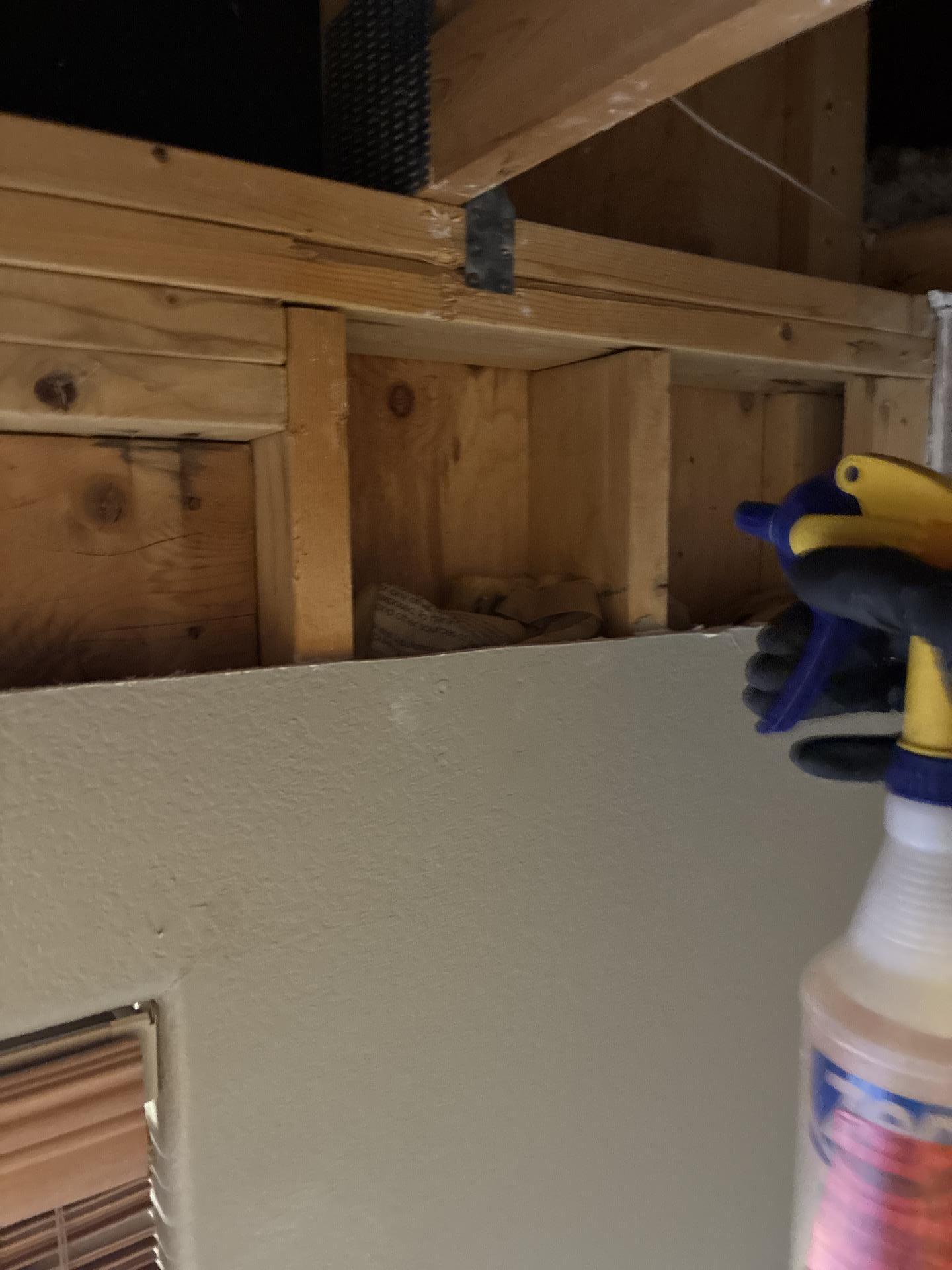 Antimicrobial solution being applied to cleaned framing after source removal