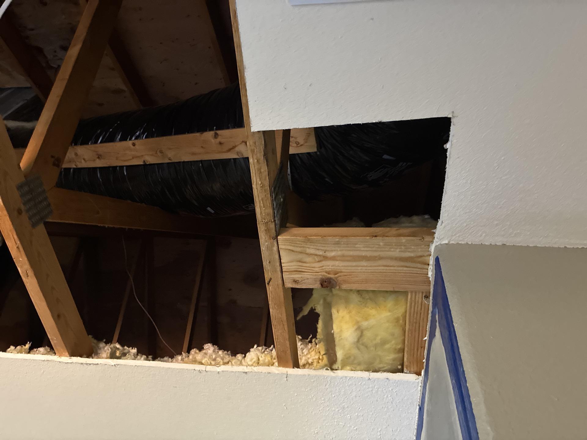 Exposed ceiling framing after affected drywall and insulation removal