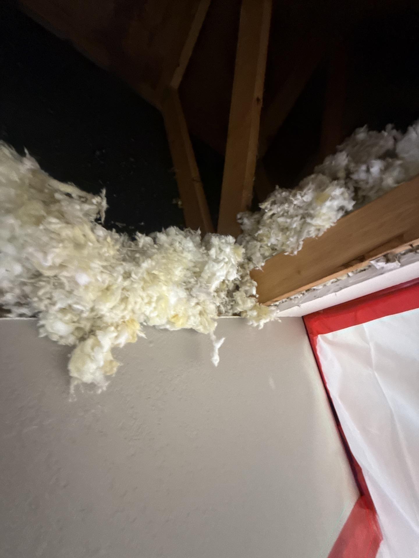 Ceiling drywall removed under containment during mold mitigation in Parachute CO